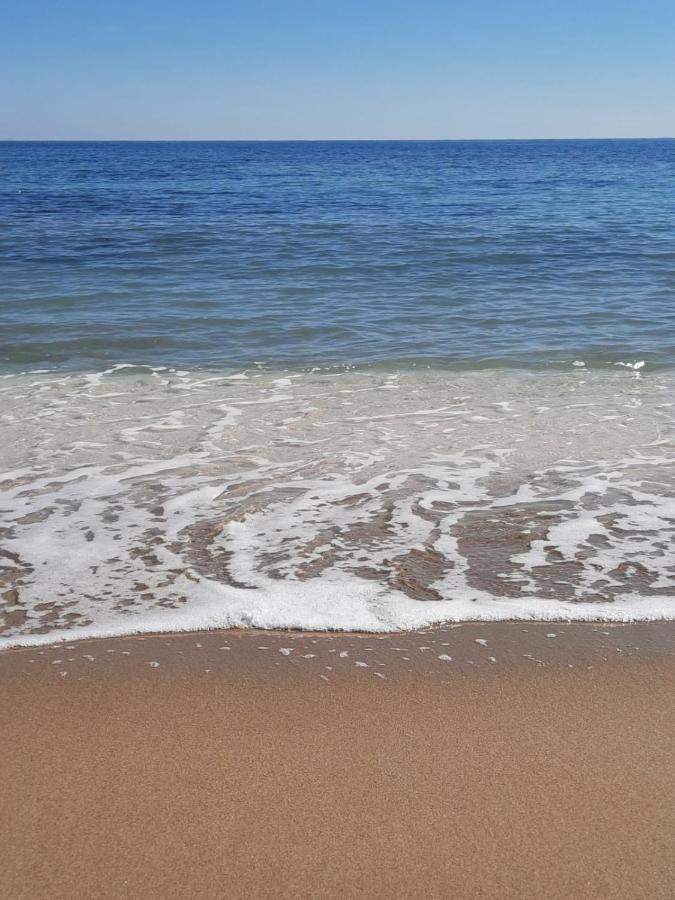 Студия На Белоснежном Пляже Los Locos Torrevieja Kültér fotó